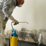 Mold Remediation in Gaithersburg, MD